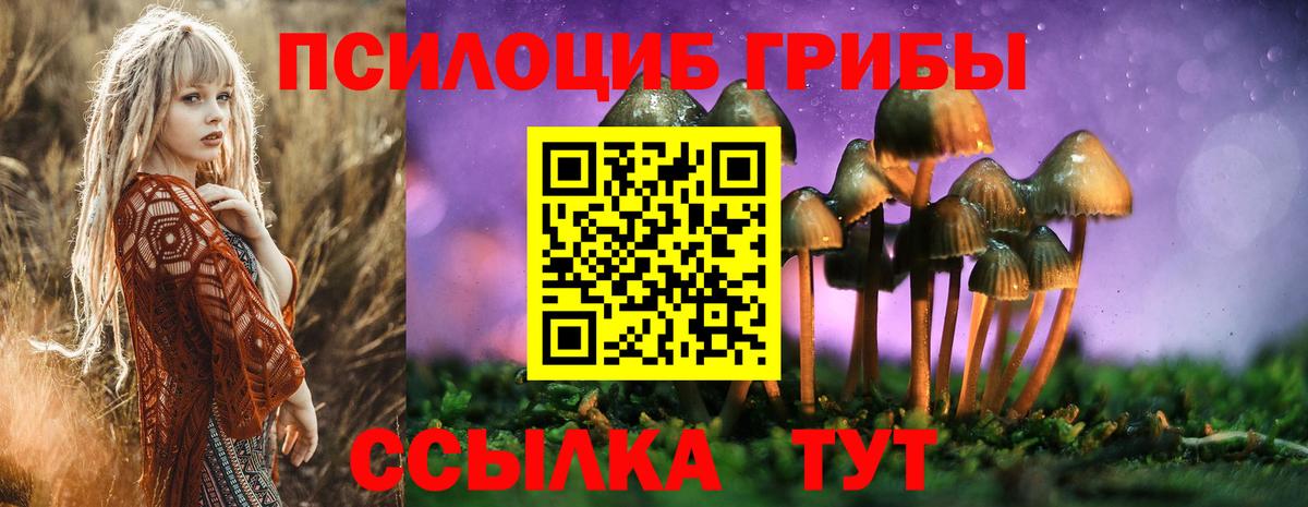 Псилоцибиновые грибы Magic Shrooms  наркотики  Батайск  Вход с VPN 